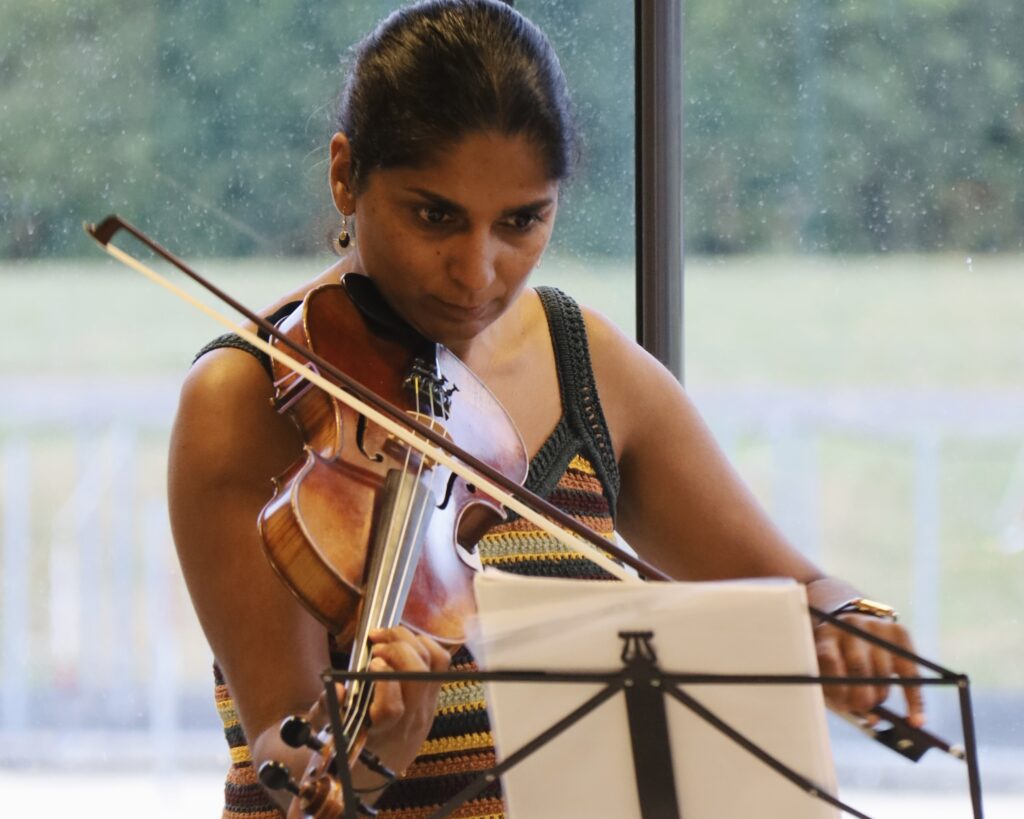 Violon