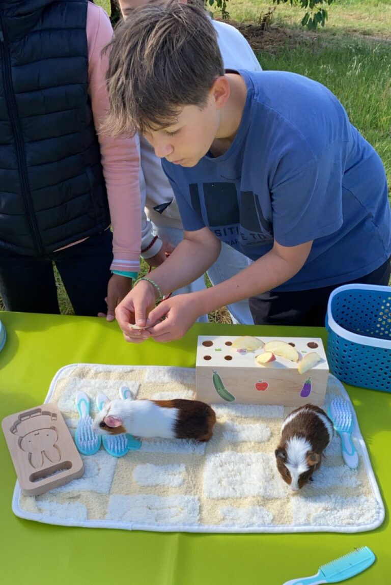 Déroulement d'une séance Médiation animal